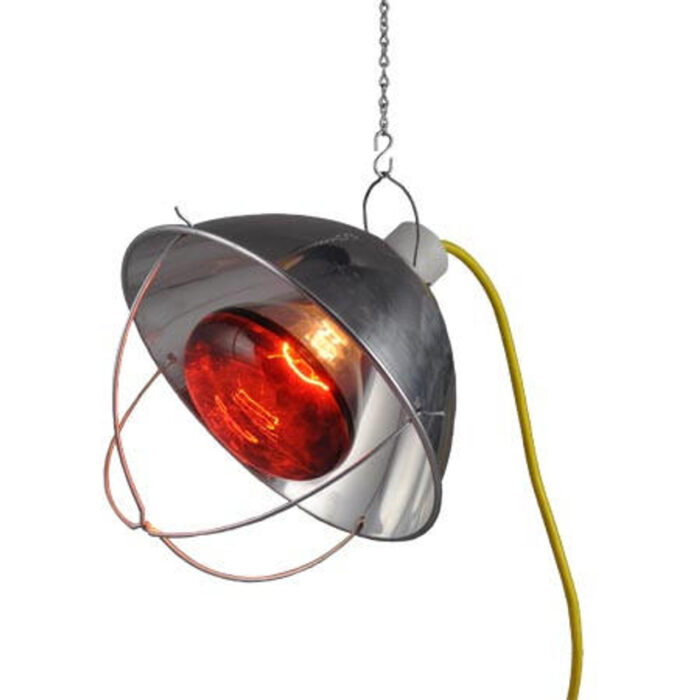 BROODER REFLECTOR LAMP