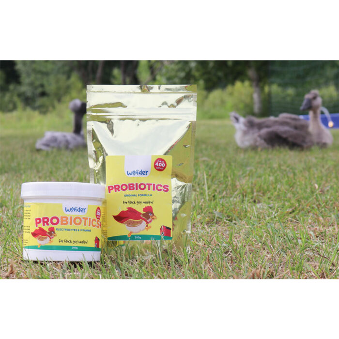PROBIOTICS+ W/ ELECTROLYTES & VITAMINS - 200 G - Image 3