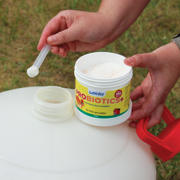 PROBIOTICS+ W/ ELECTROLYTES & VITAMINS - 200 G - Image 2