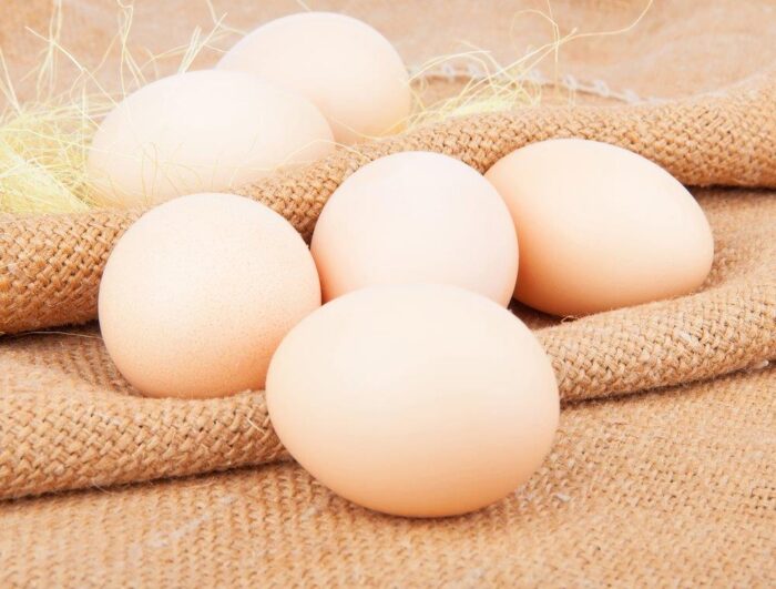 White Polish Chicken - Image 2